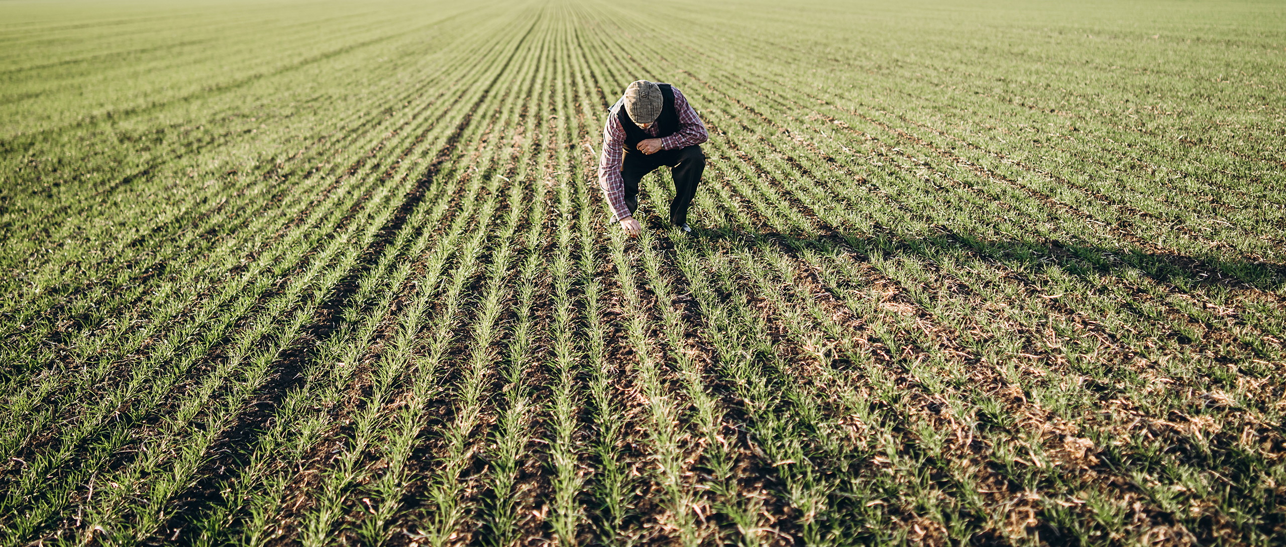 From Farming To Commercial Real Estate